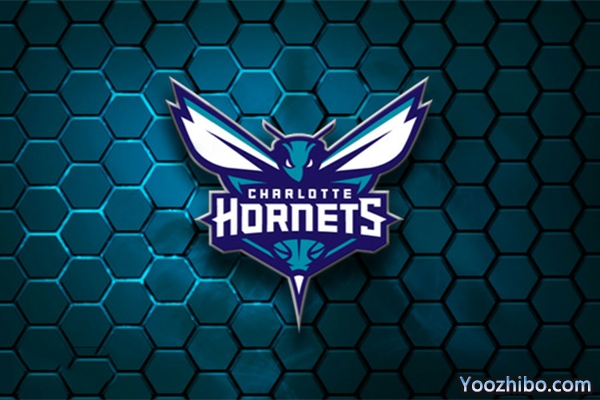 2019-2020赛季<a href=/24zhibolq/hornets/ target=_blank class=infotextkey>黄蜂</a>队队徽